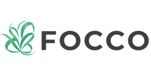Logo Focco Academy