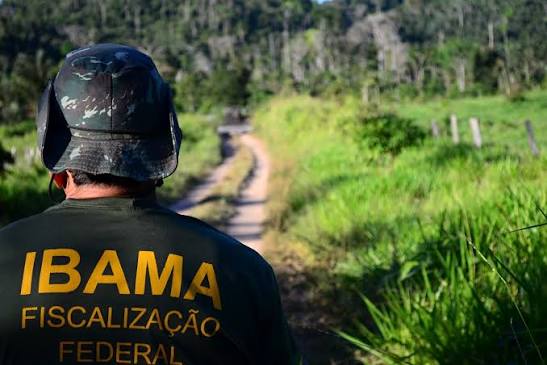 Documentação Fiscalização IBAMA