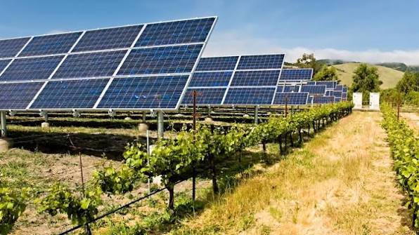 Paneles Amerisolar Serie AS-8M montados en suelo en terreno agropecuario