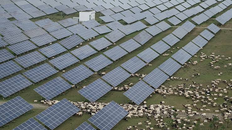 Vista aérea de parque solar Amerisolar con paneles bifaciales en campo