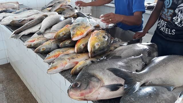 Pesca no Defeso