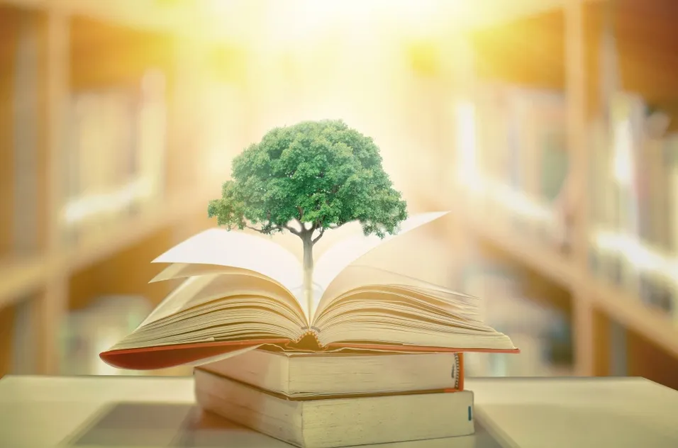 Livros de leis e legislação ambiental