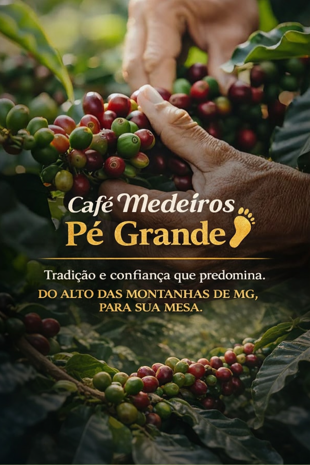 Descrição da imagem (melhora a acessibilidade da sua página)